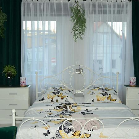 Apartament U Danusi Złoty Stok 외부 사진