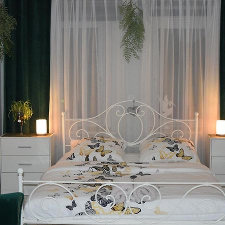 Apartament U Danusi Złoty Stok 외부 사진