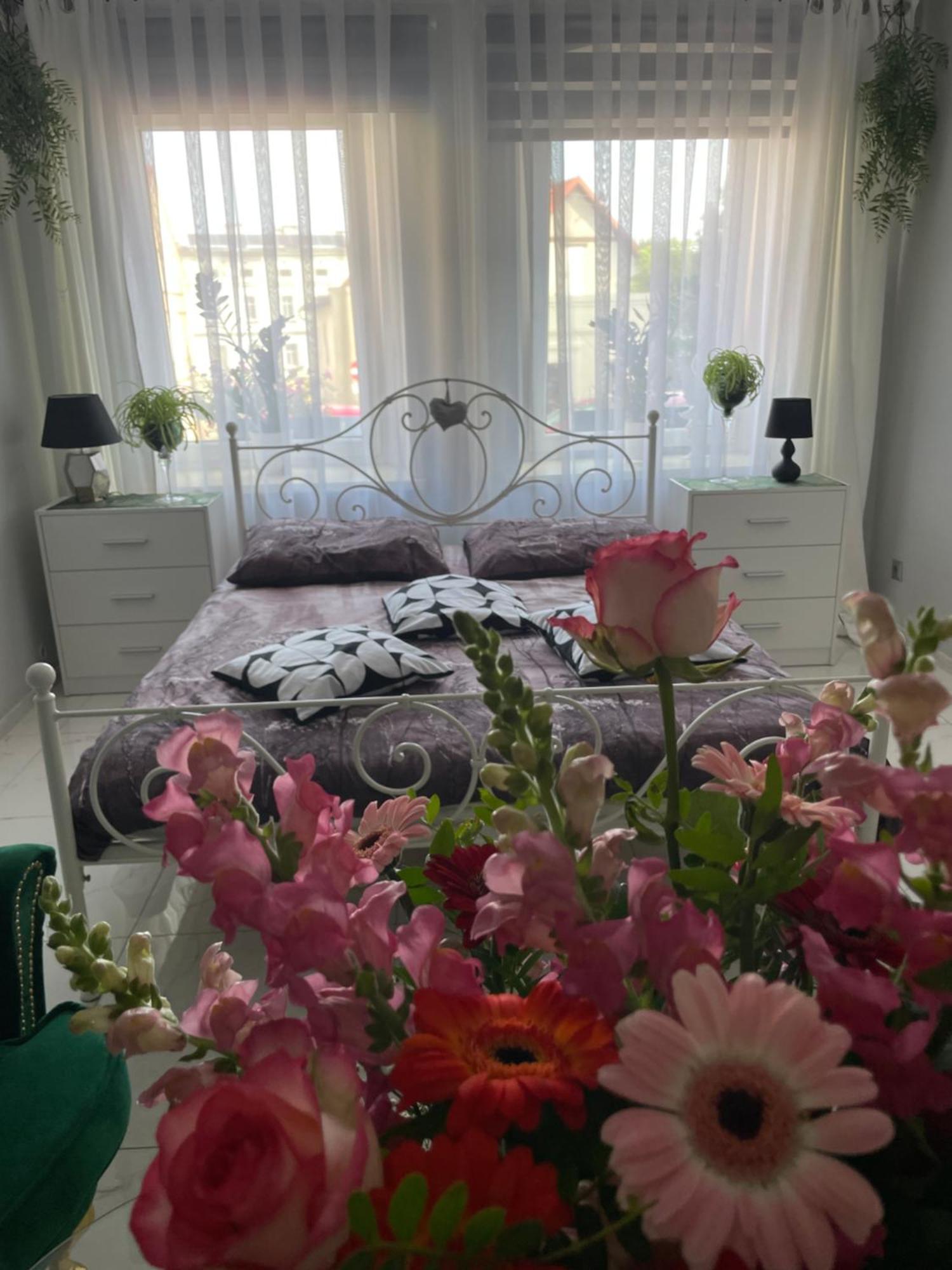 Apartament U Danusi Złoty Stok 외부 사진